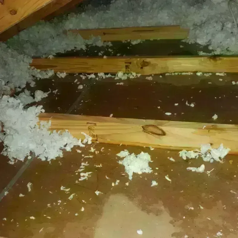 Attic Water Damage in Englewood, OH