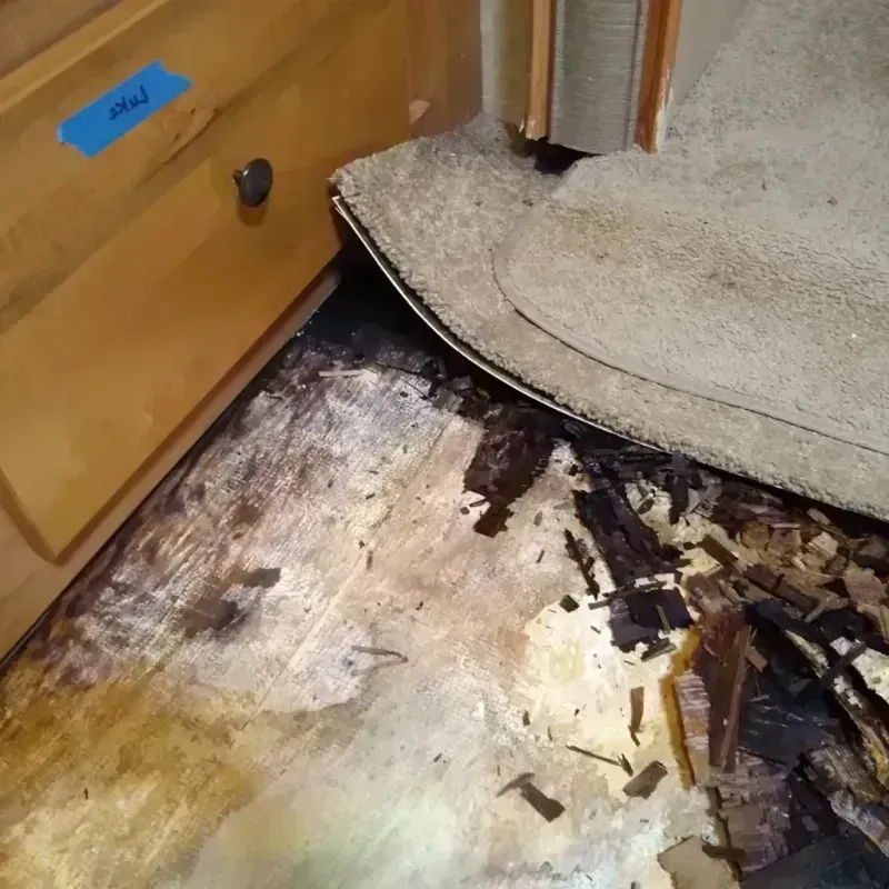 Wood Floor Water Damage in Englewood, OH